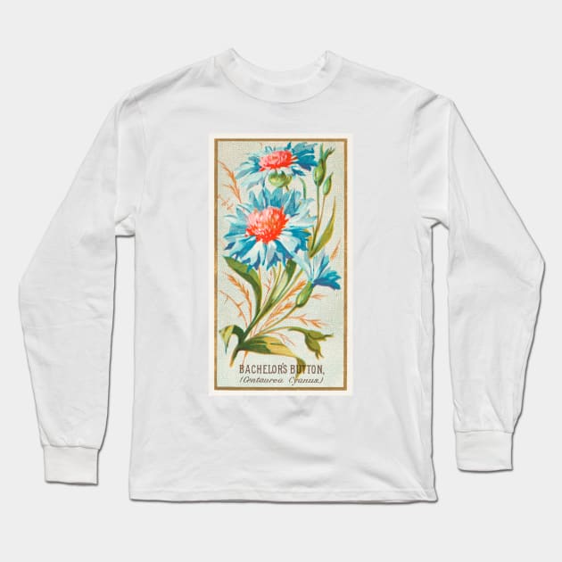 Bachelor's Button (Centaurea Cyanus) Long Sleeve T-Shirt by WAITE-SMITH VINTAGE ART